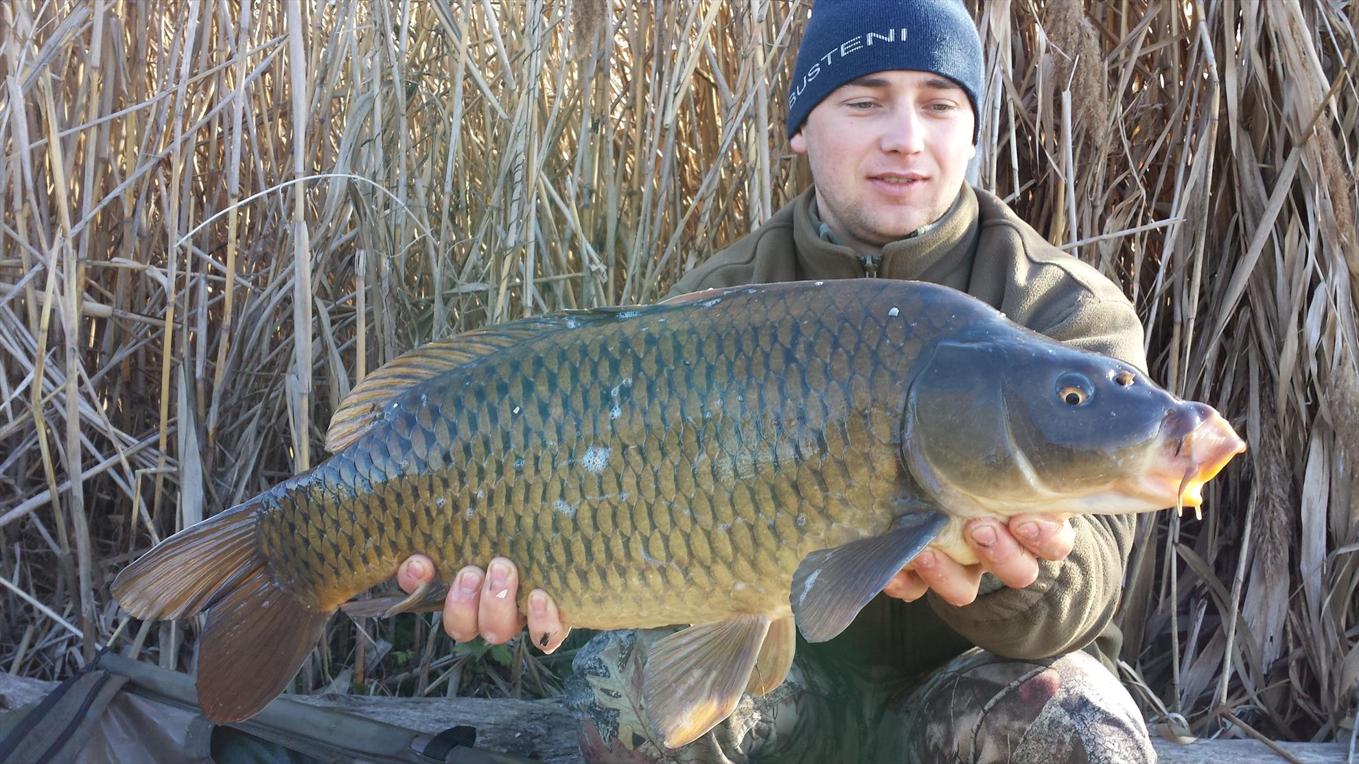 Tancabesti 14 - 16 mar. - 2014-03-16-083512.jpg